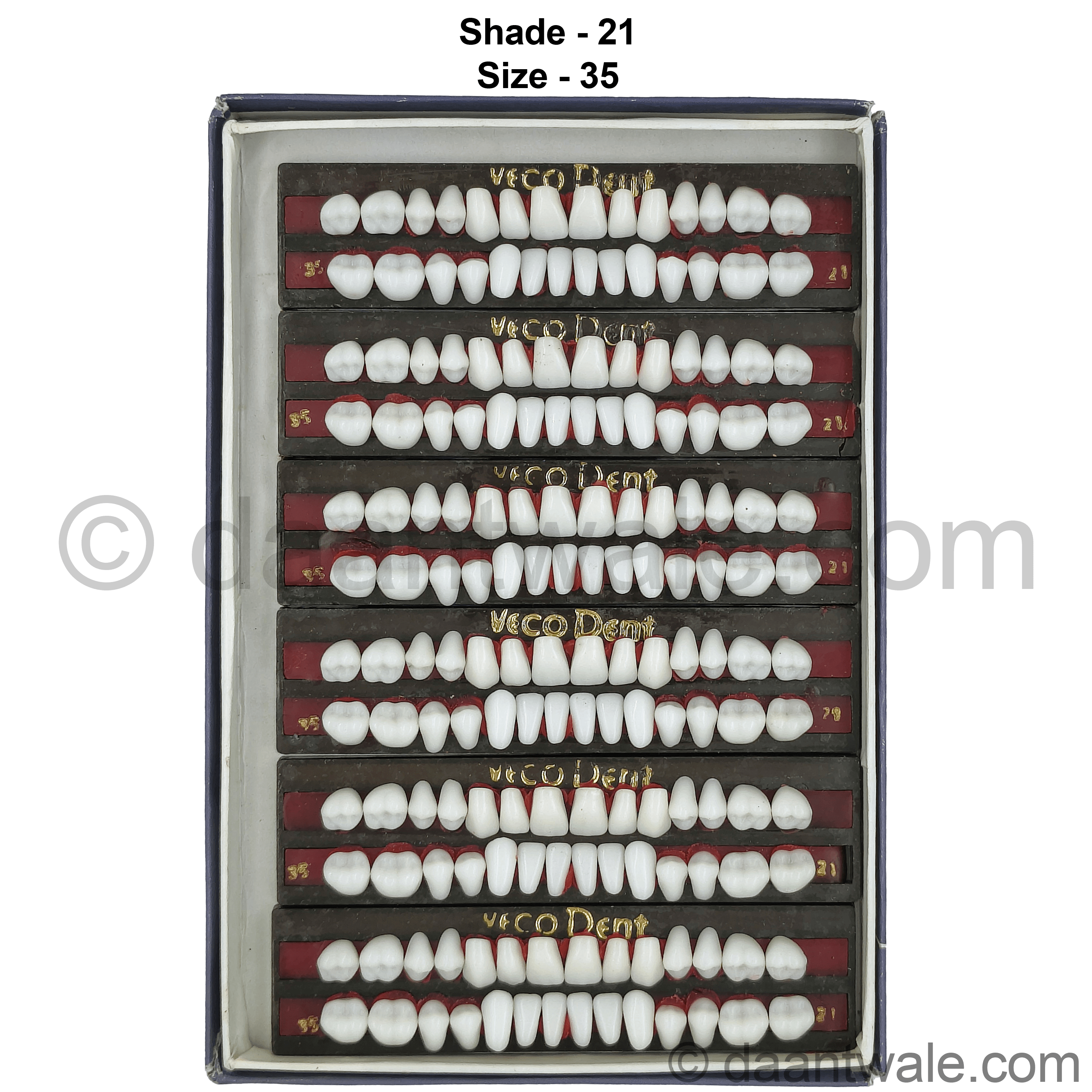 Vecodent Super Acrylic Teeth Set of 28 (Box of 6) Shade 21 (Bright White)