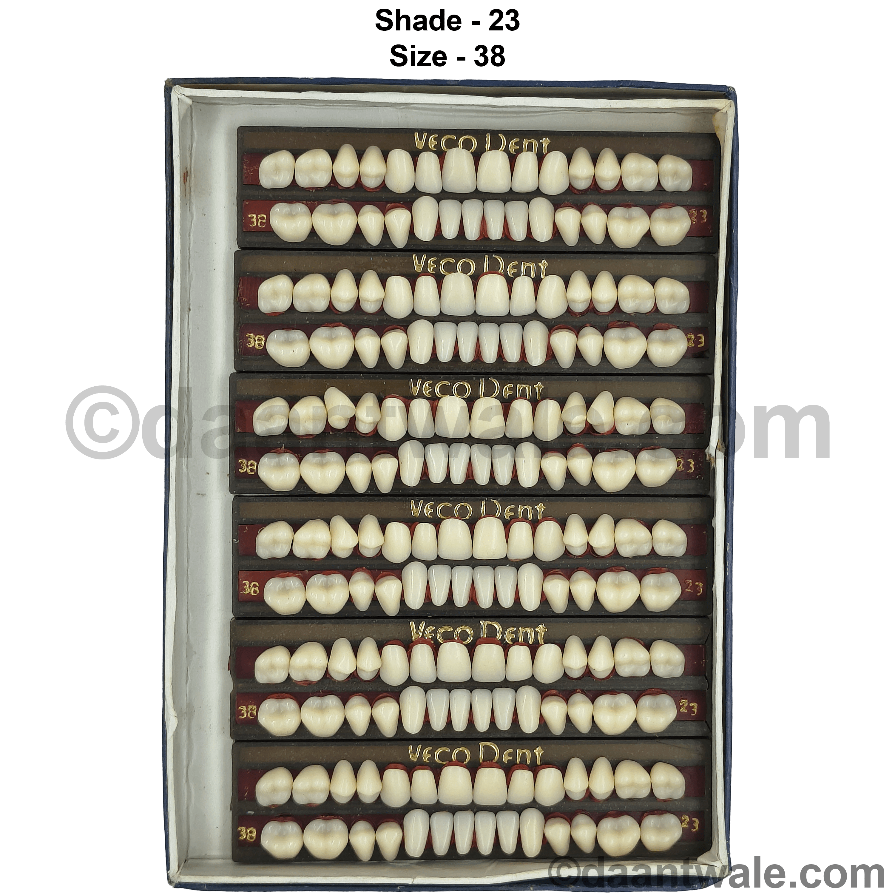 Vecodent Super Acrylic Teeth Set of 28 (Box of 6) Shade 23 (Creamish)