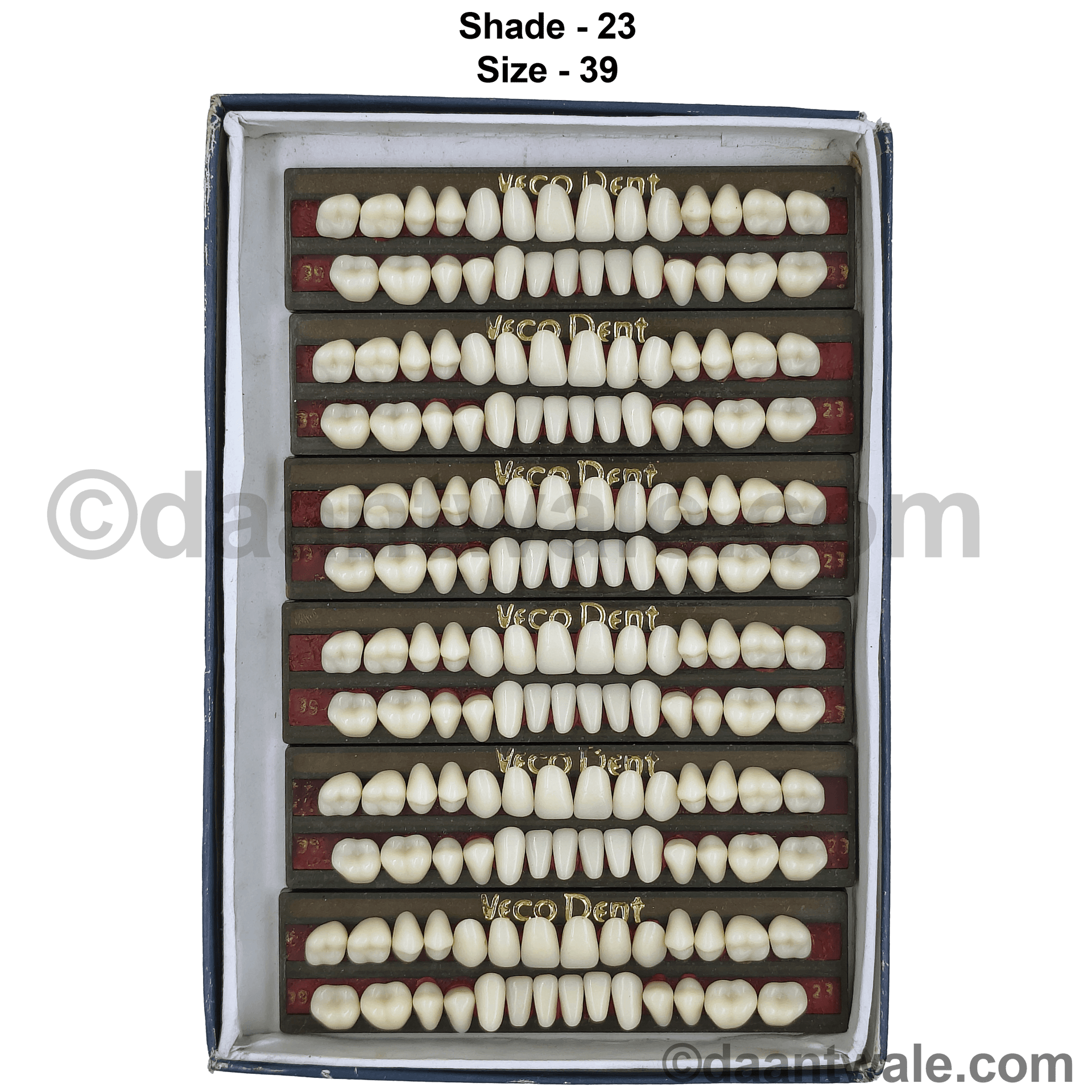 VecodentTeethSetof28Shade23Siz
