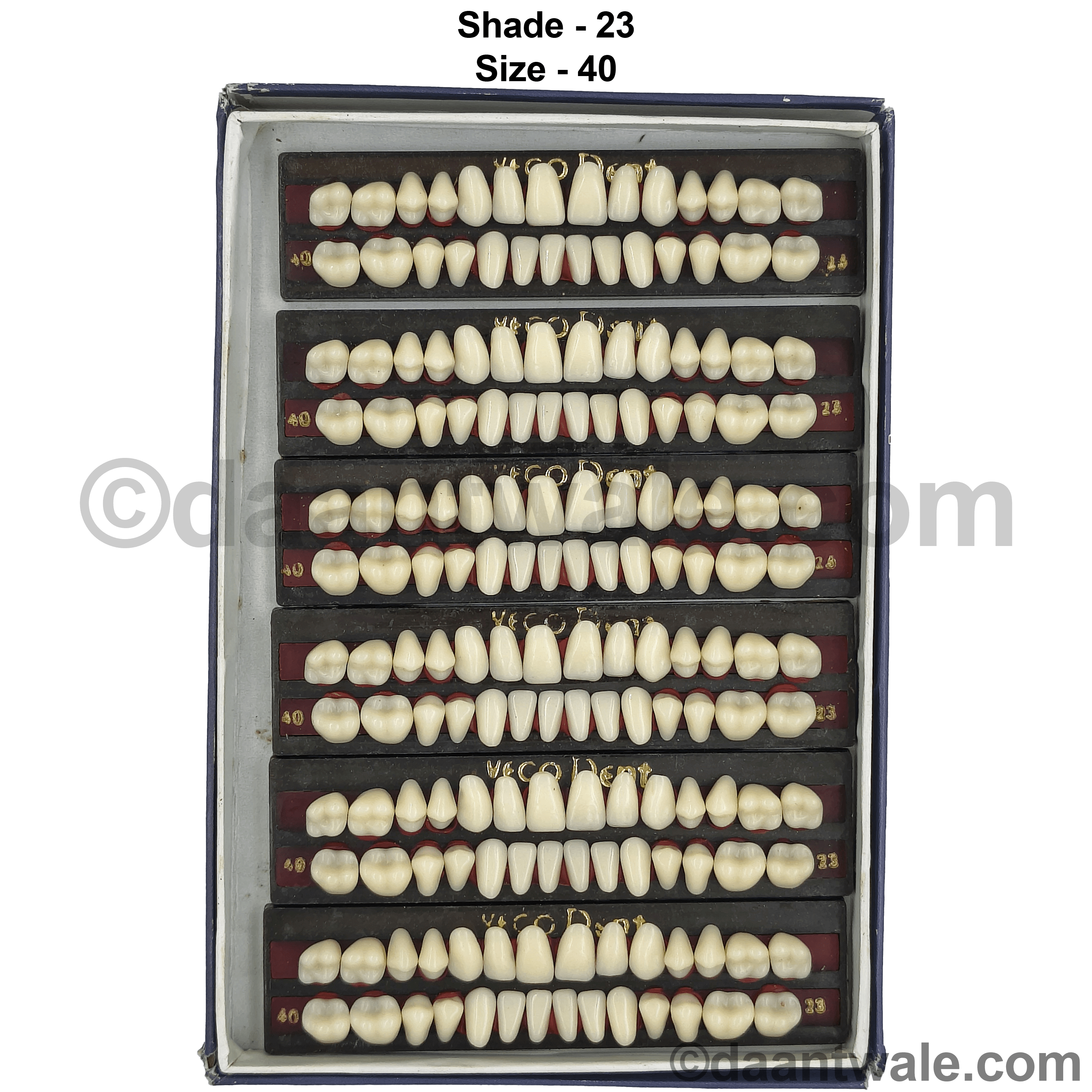 Vecodent Super Acrylic Teeth Set of 28 (Box of 6) Shade 23 (Creamish)