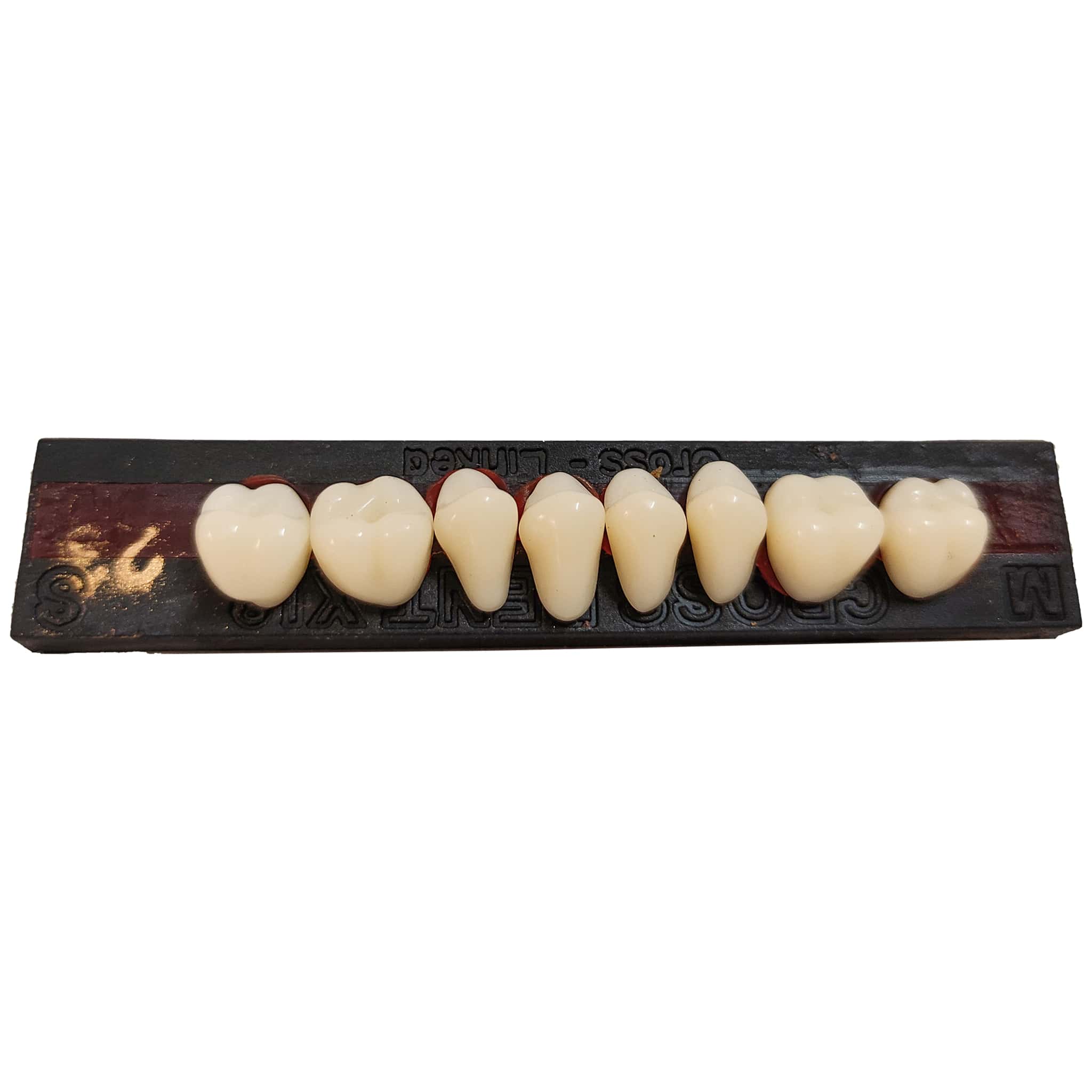 JDP Cross Dent XL Acrylic Teeth Molar Set (Box of 8)