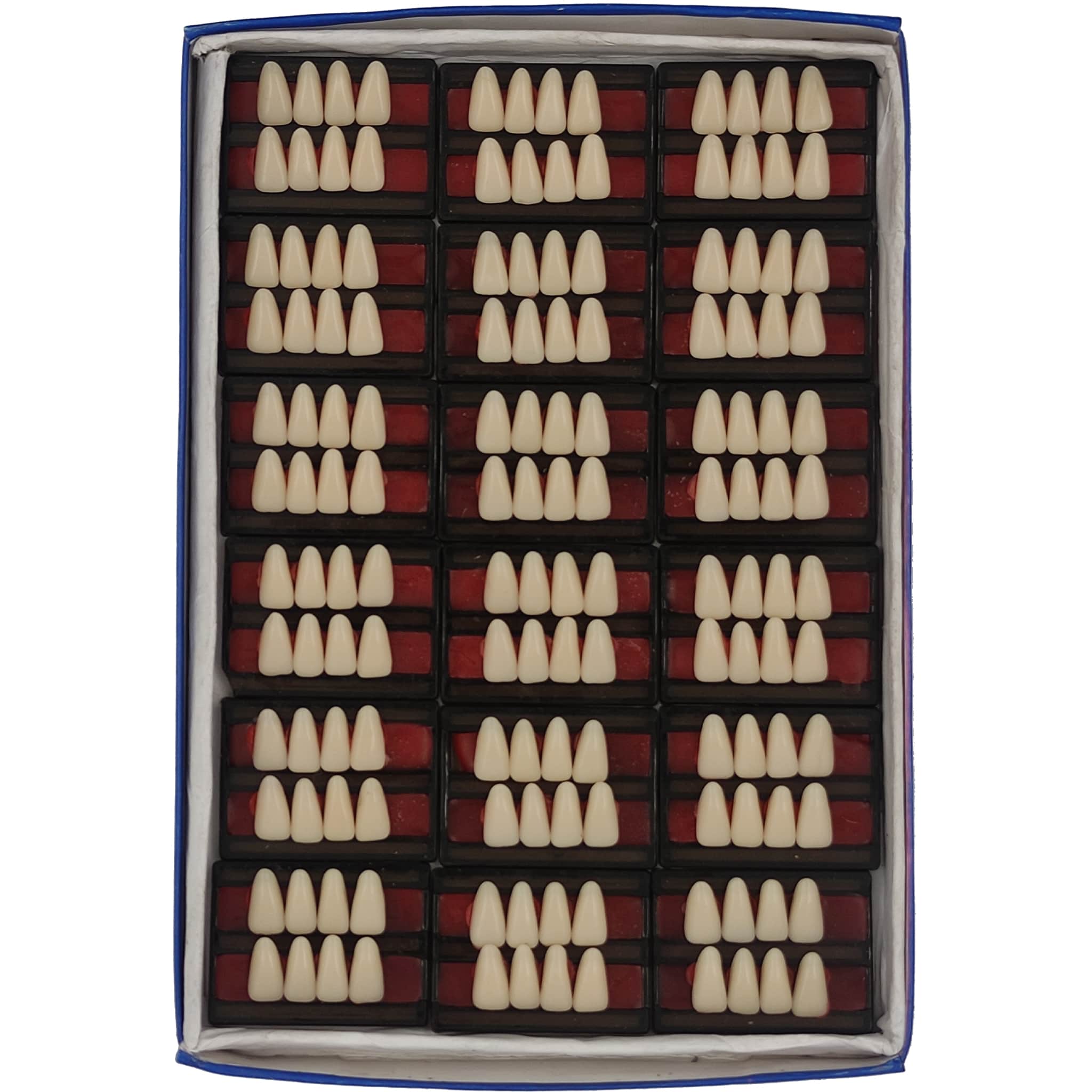 JDP Cross Dent XL Acrylic Teeth Set of 8 Lower (Box of 18)