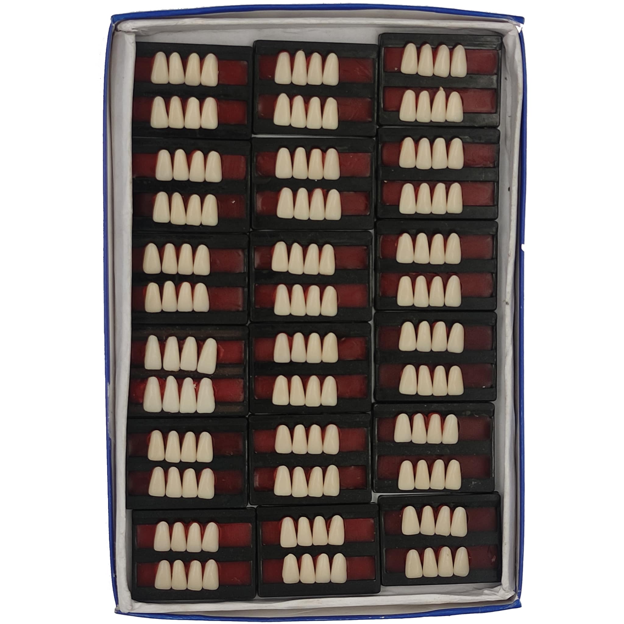 JDP Cross Dent XL Acrylic Teeth Set of 8 Lower (Box of 18)