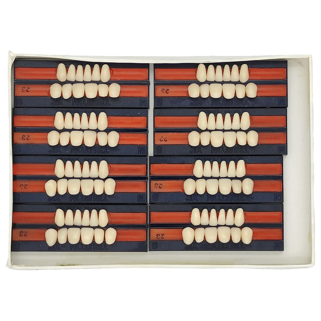 Truton Artificial Teeth Set of 12 (Box of 8)