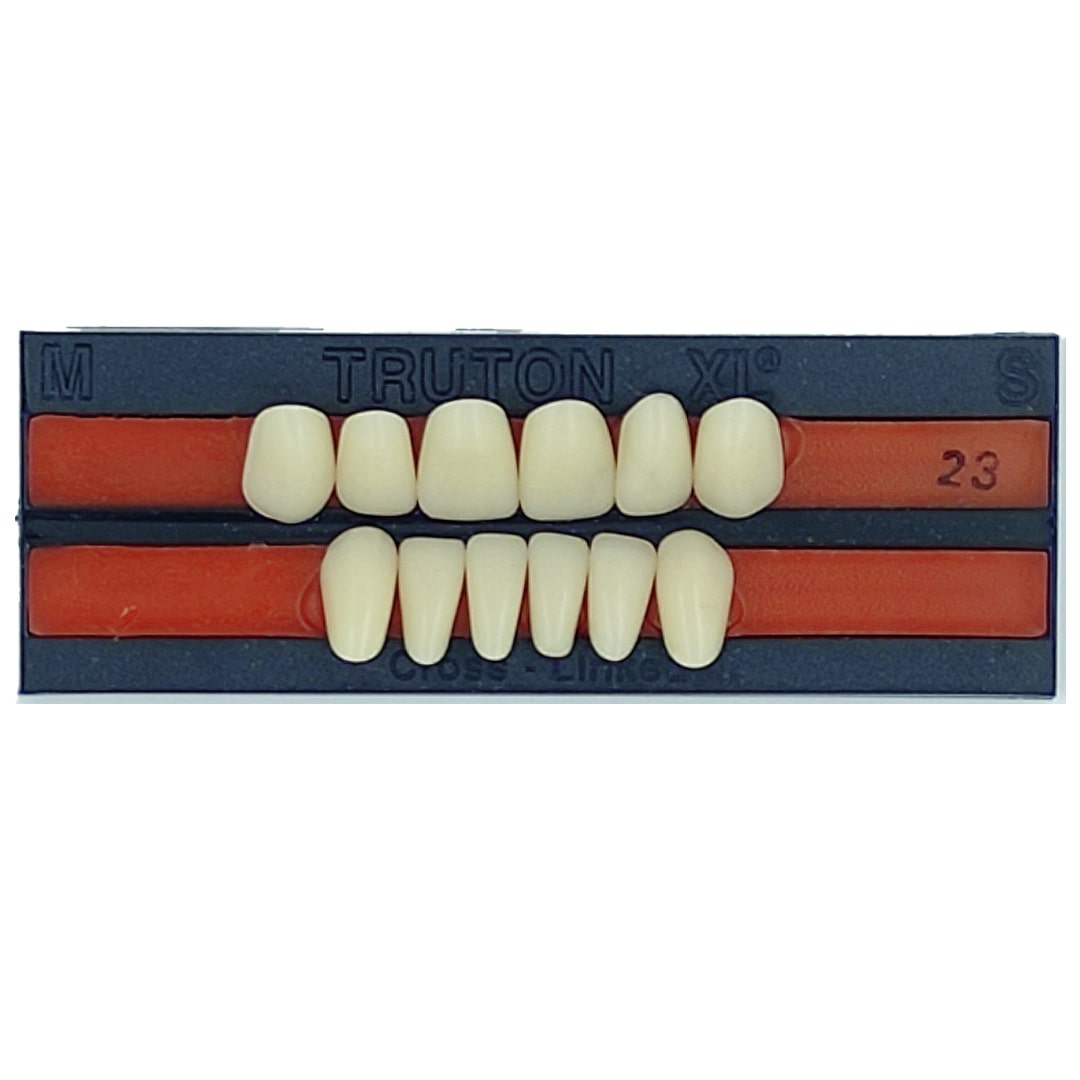 Truton Artificial Teeth Set of 12 (Box of 8)