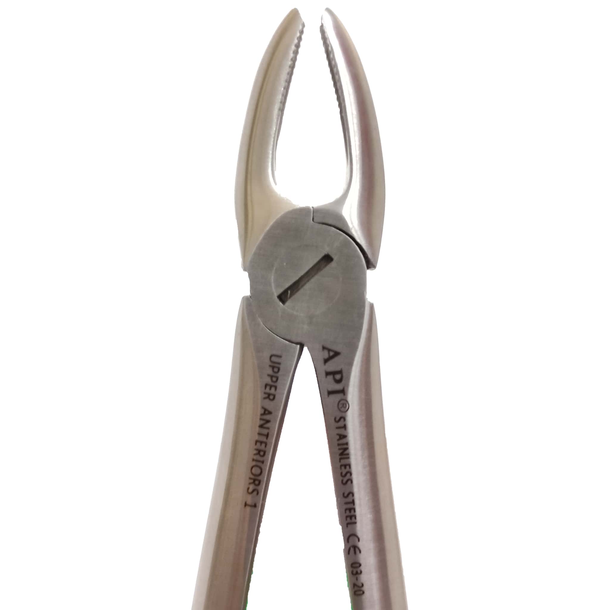 API Extraction Forceps Adult Anterior