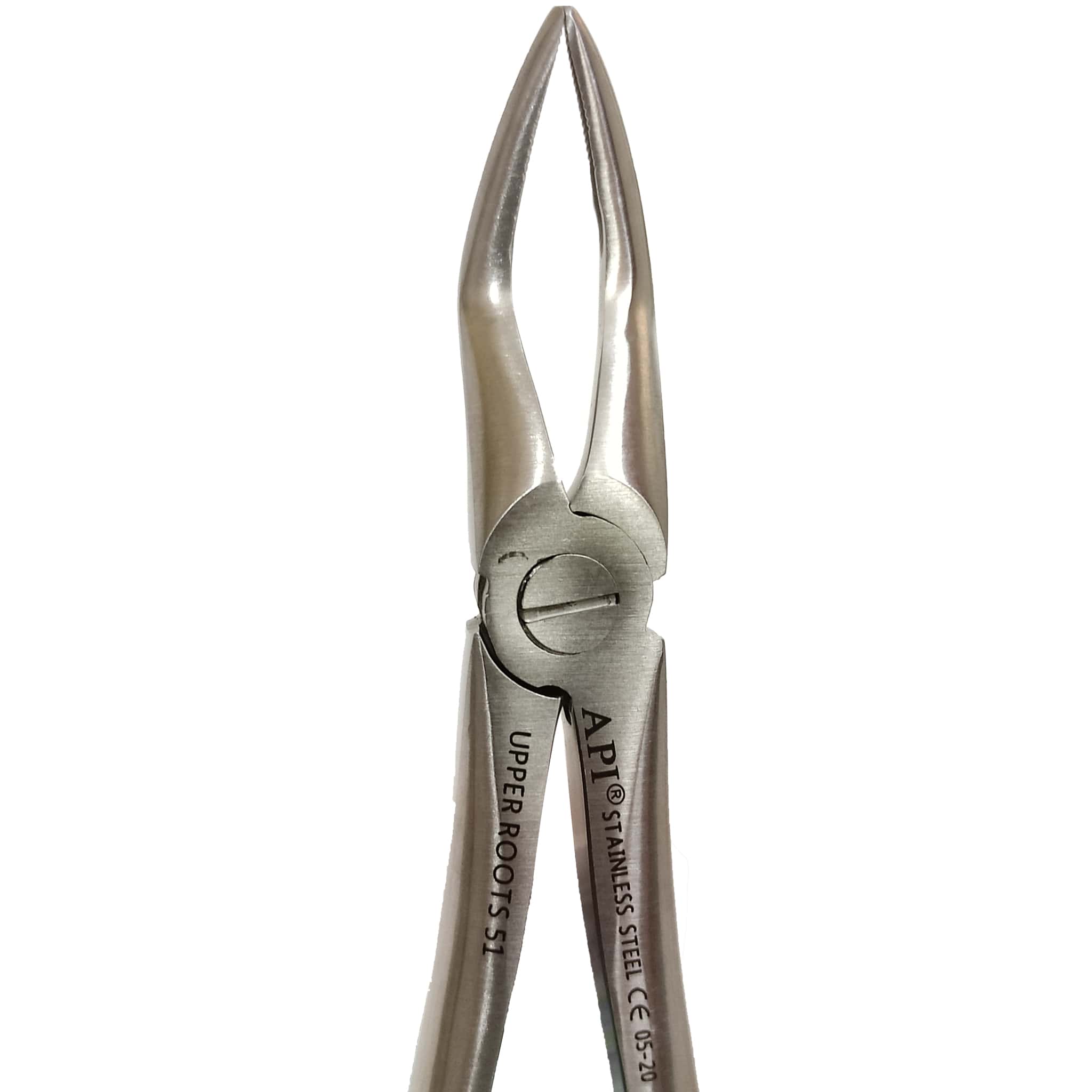 API Extraction Forceps Root
