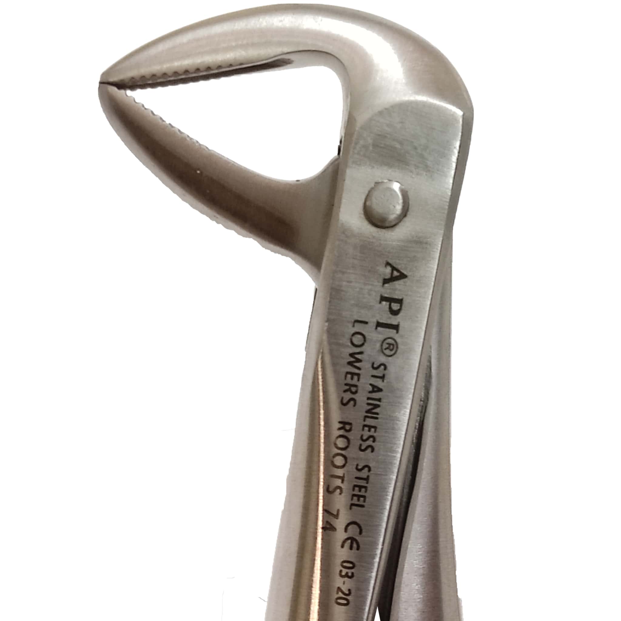 API Extraction Forceps Root