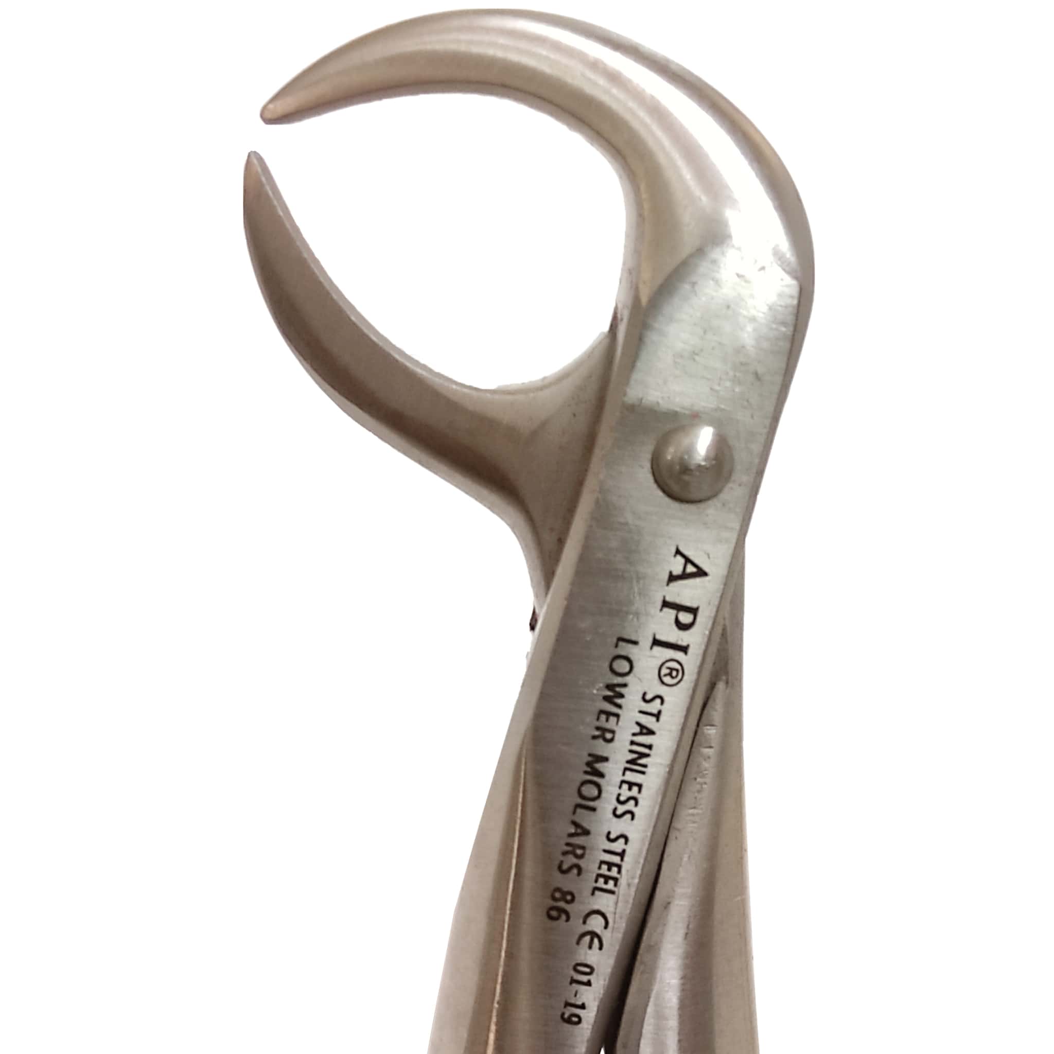 API Extraction Forceps Cow Horn