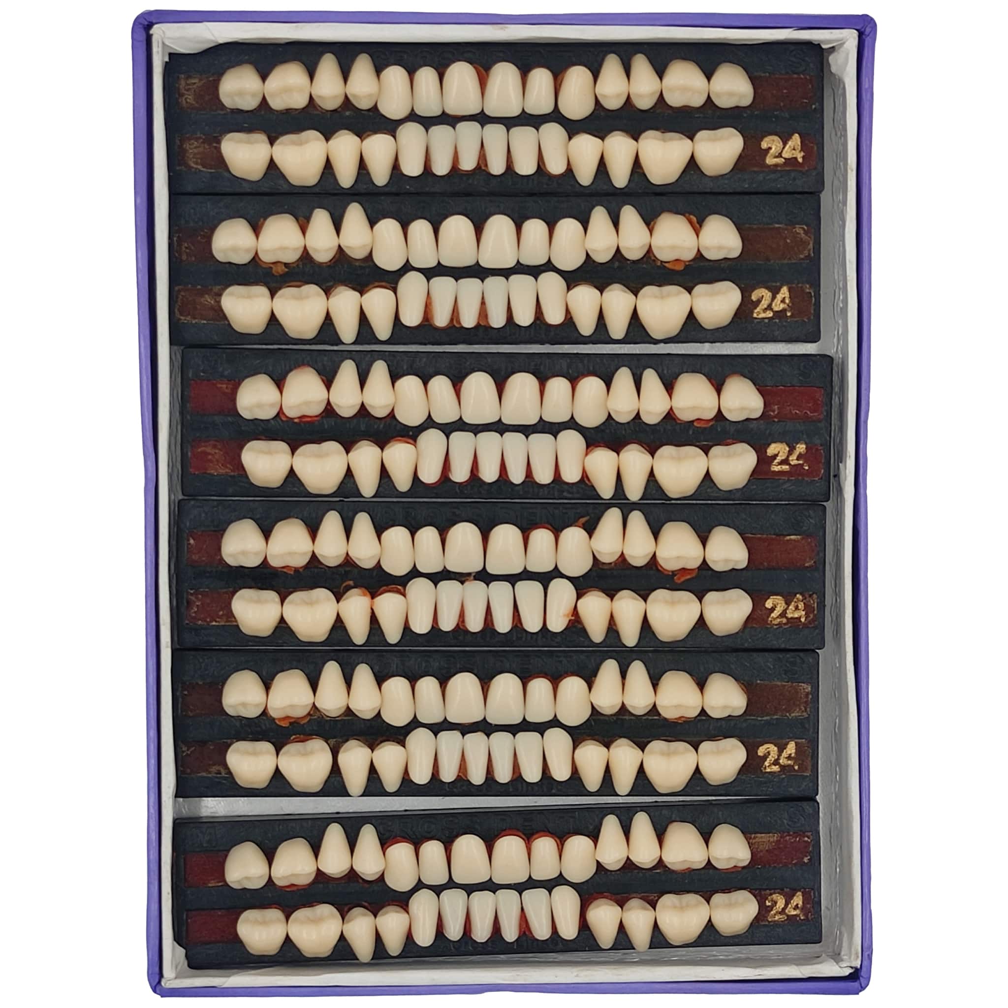 Vecodent Super Acrylic Teeth Set of 28 (Box of 6) Shade 24 (Yellowish)