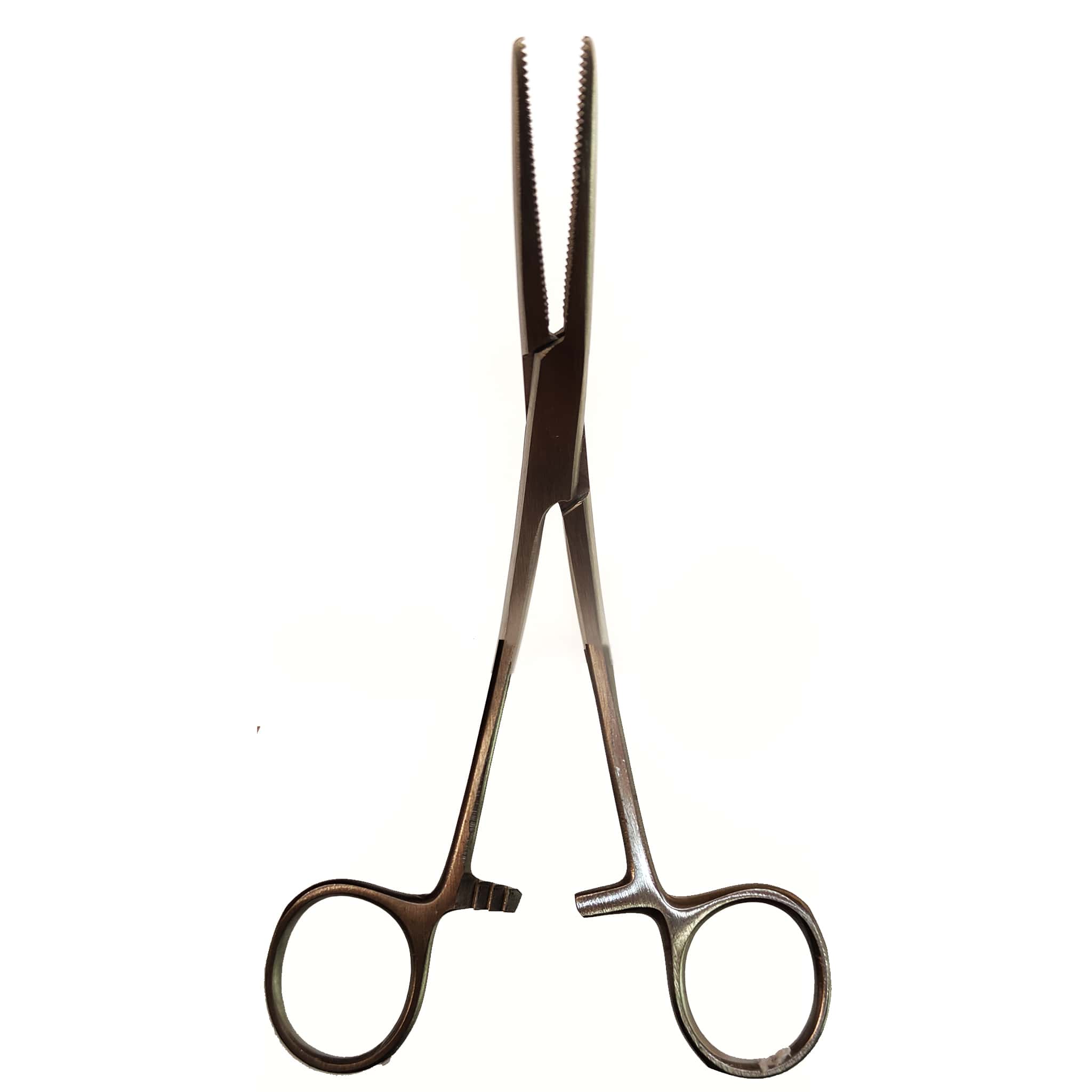Indian Artery Forceps (6 inches)