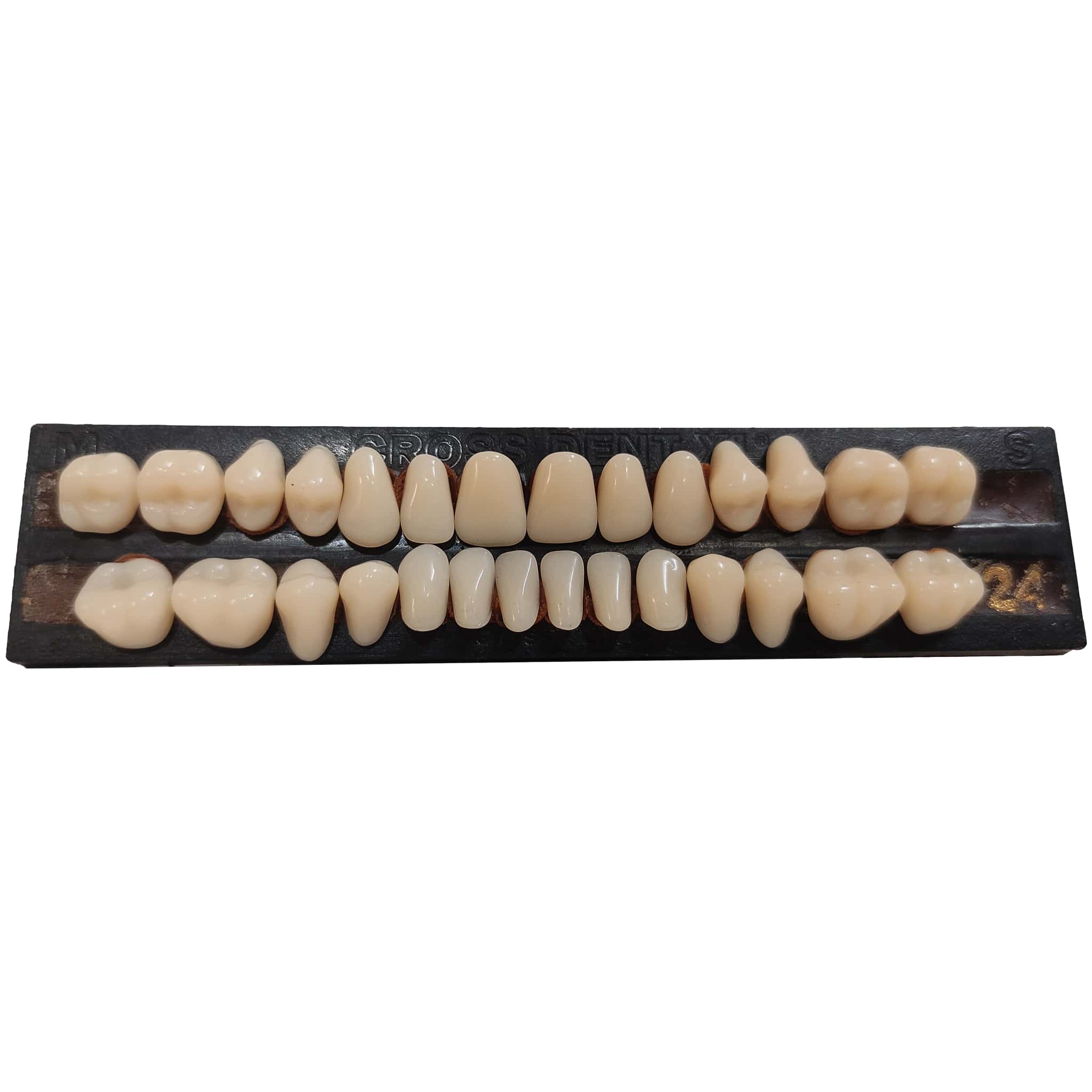 Vecodent Super Acrylic Teeth Set of 28 (Box of 6) Shade 23 (Creamish)