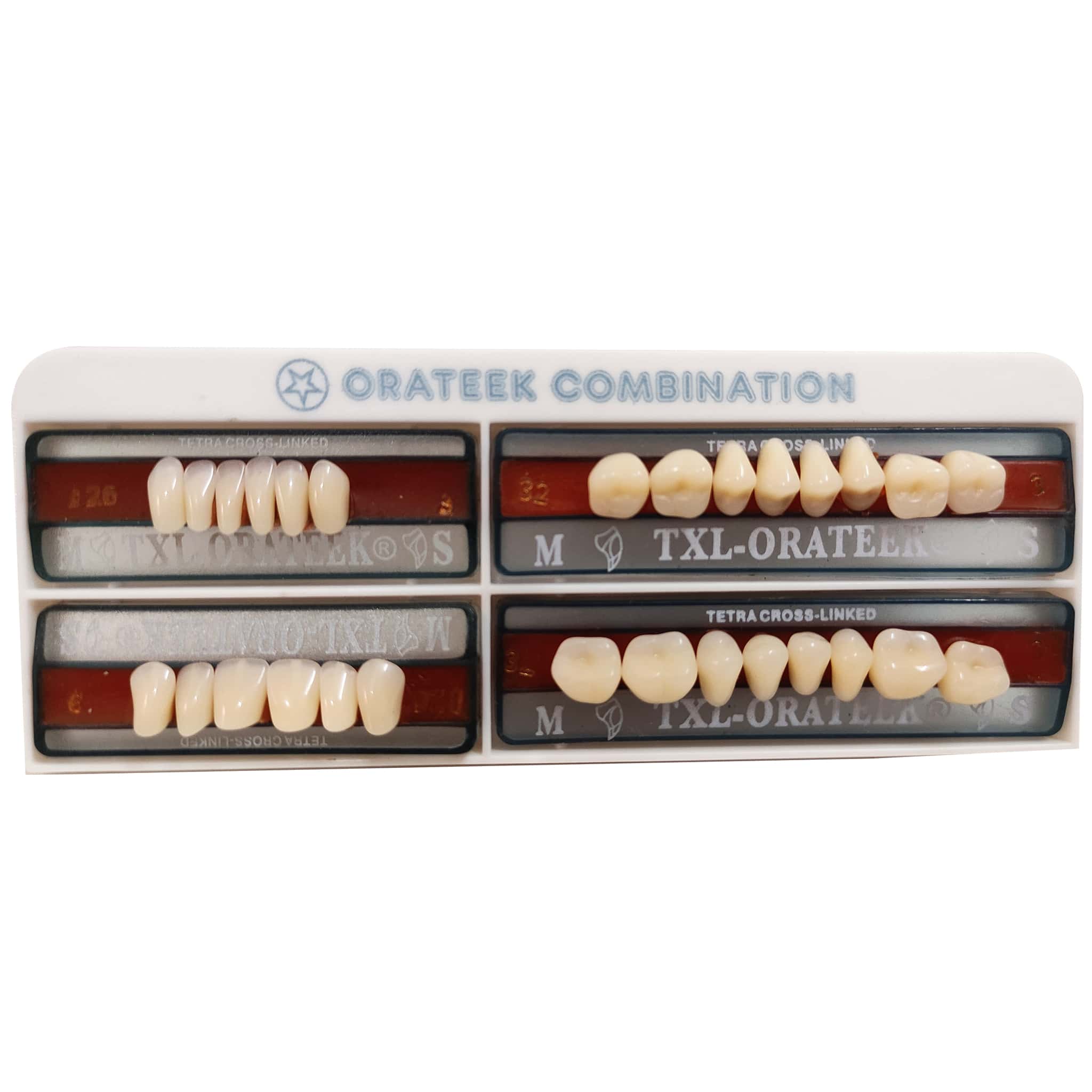 Orateek Teeth Full Set of 28 (Box of 4) Shade 24