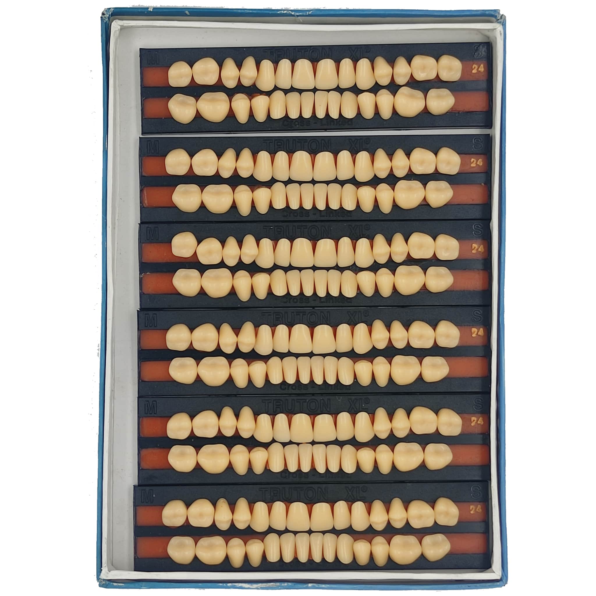Truton Artificial Teeth Full Set (Box of 6) Shade 23