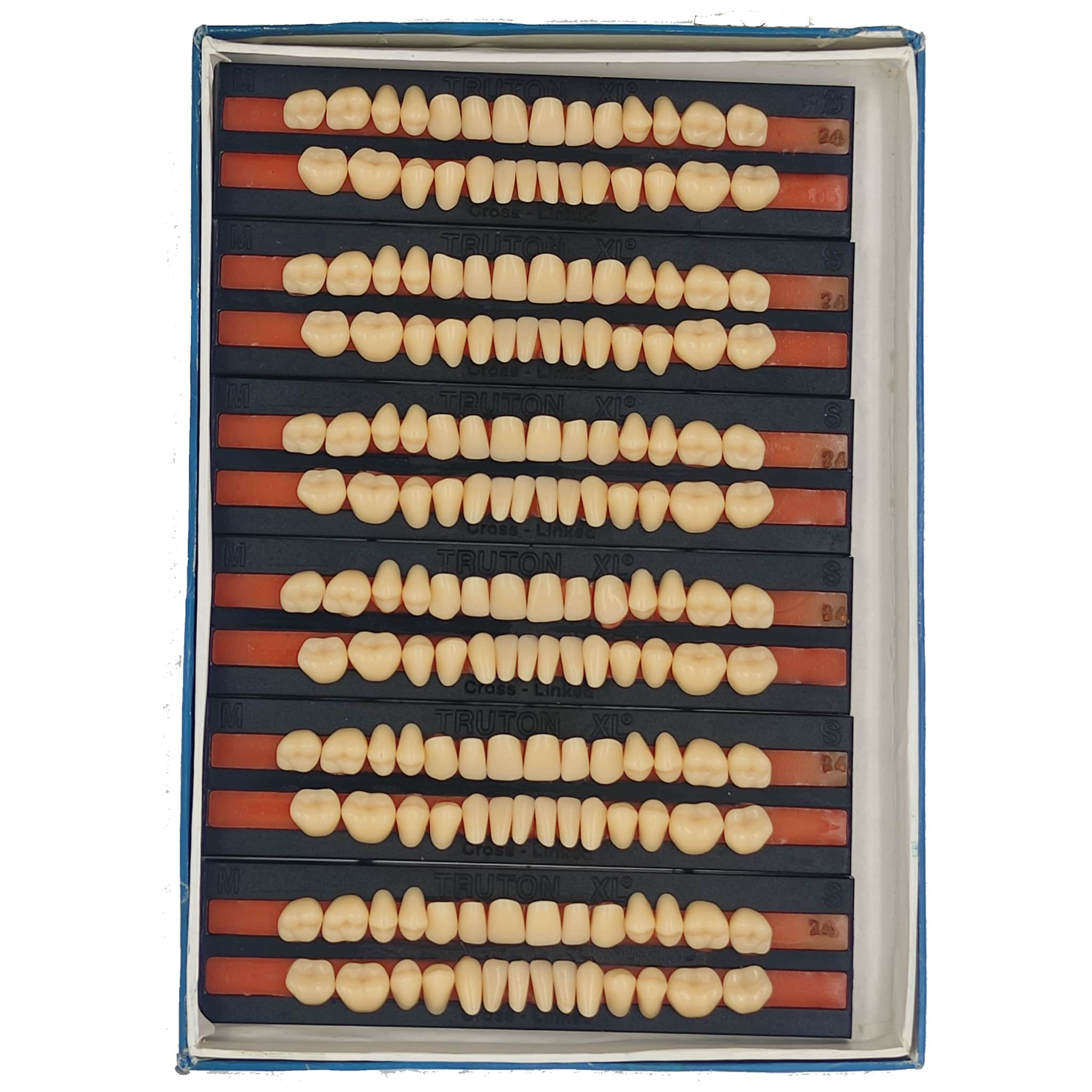 Truton Artificial Teeth Full Set (Box of 6) Shade 24
