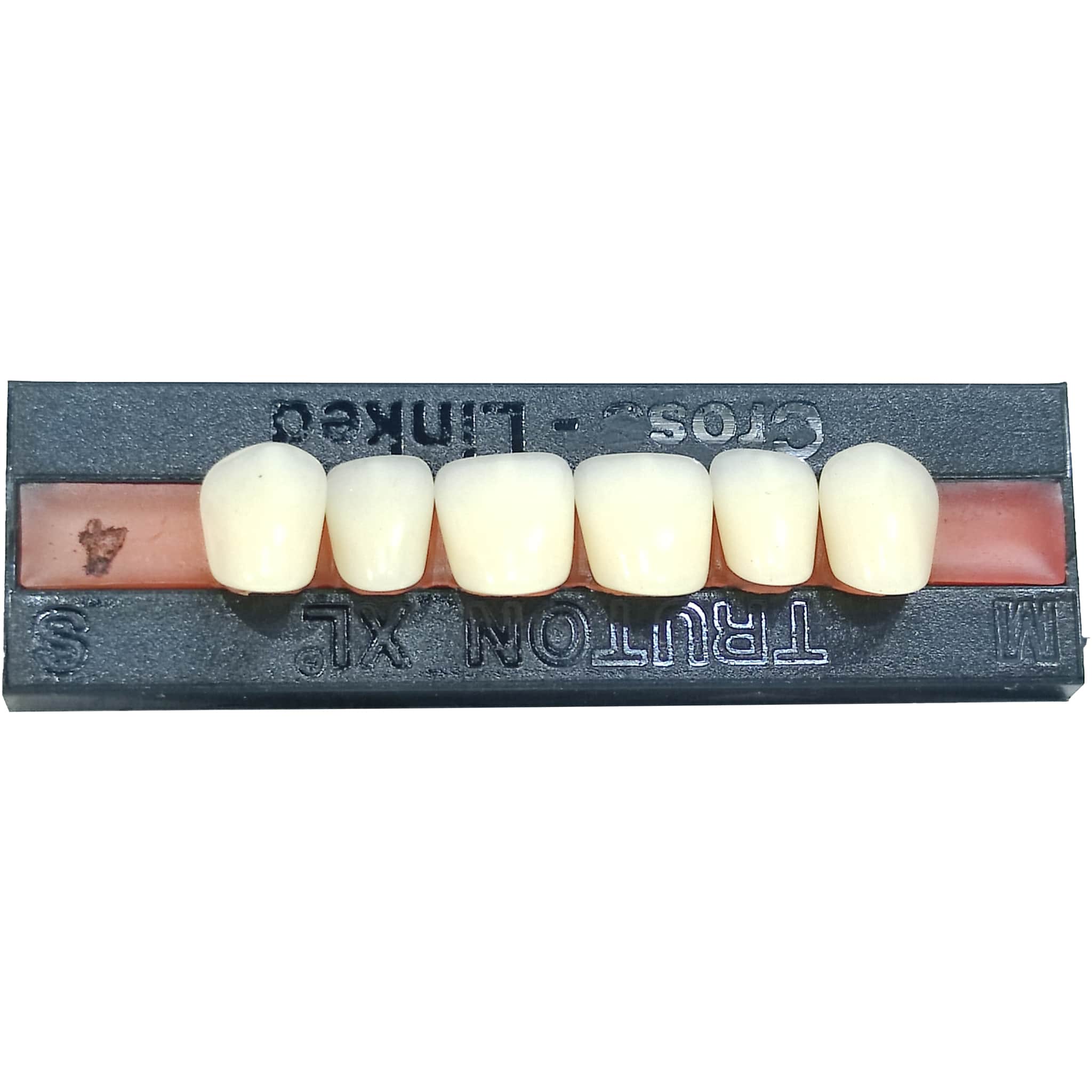 Truton Artificial Teeth Set of 6 Upper (Box of 20)