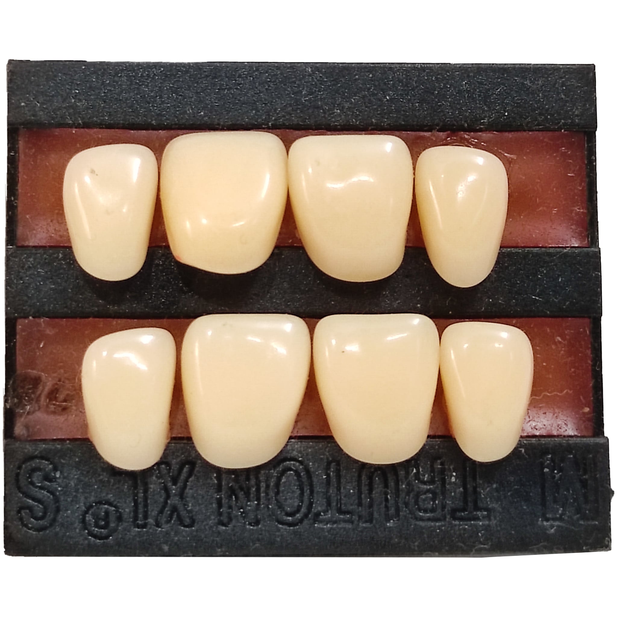 Truton Artificial Teeth Set of 8 Upper (Box of 15)