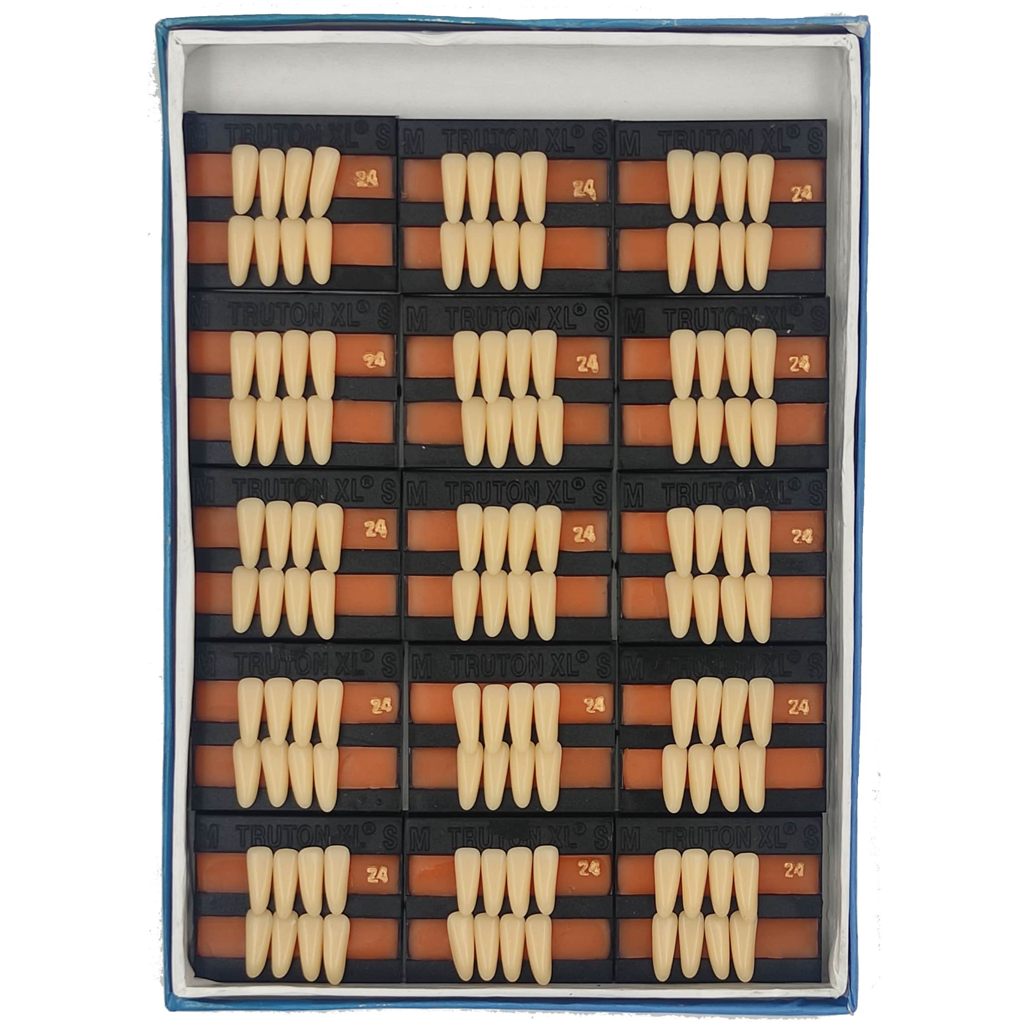 Truton Artificial Teeth Set of 8 Lower (Box of 15)