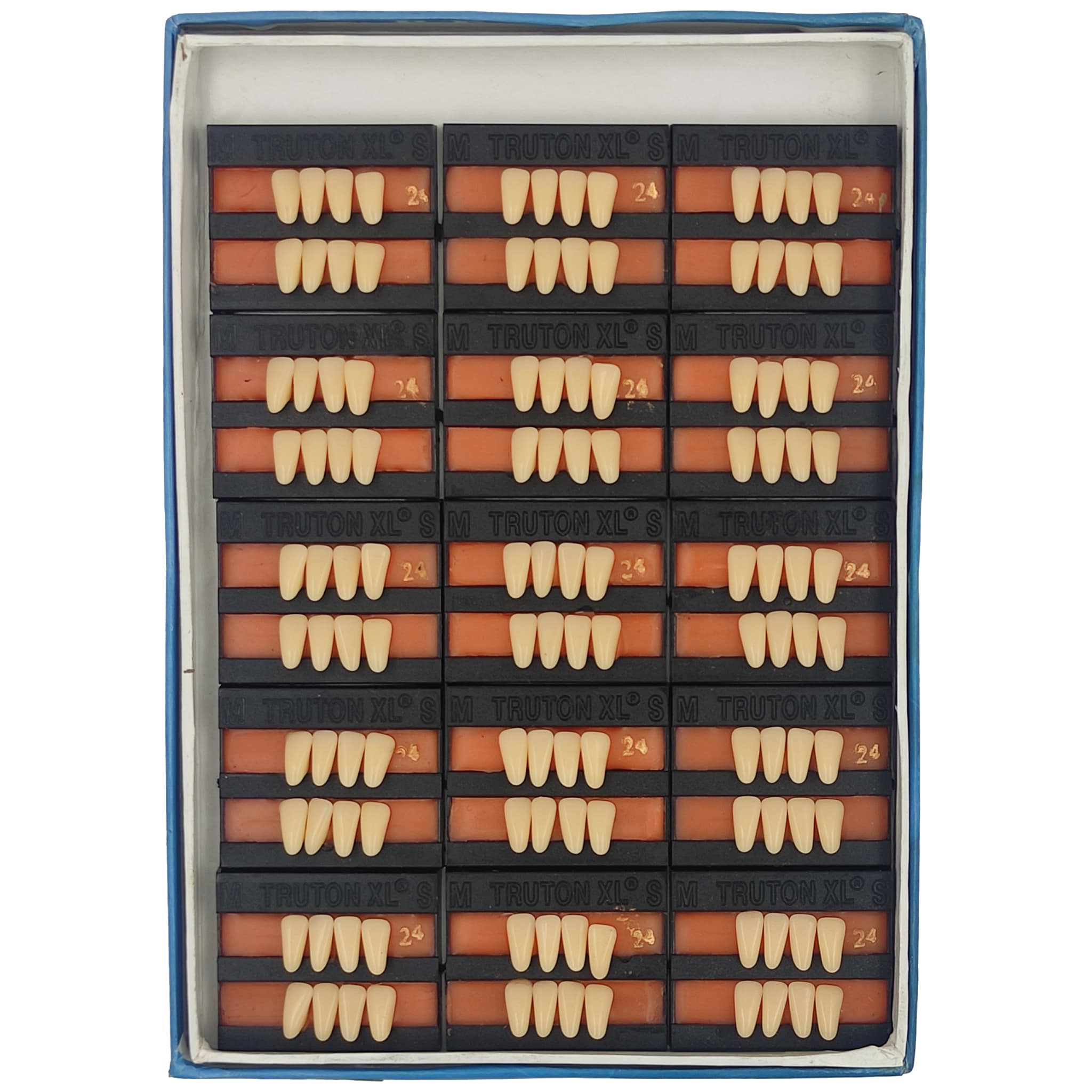 Truton Artificial Teeth Set of 8 Lower (Box of 15)
