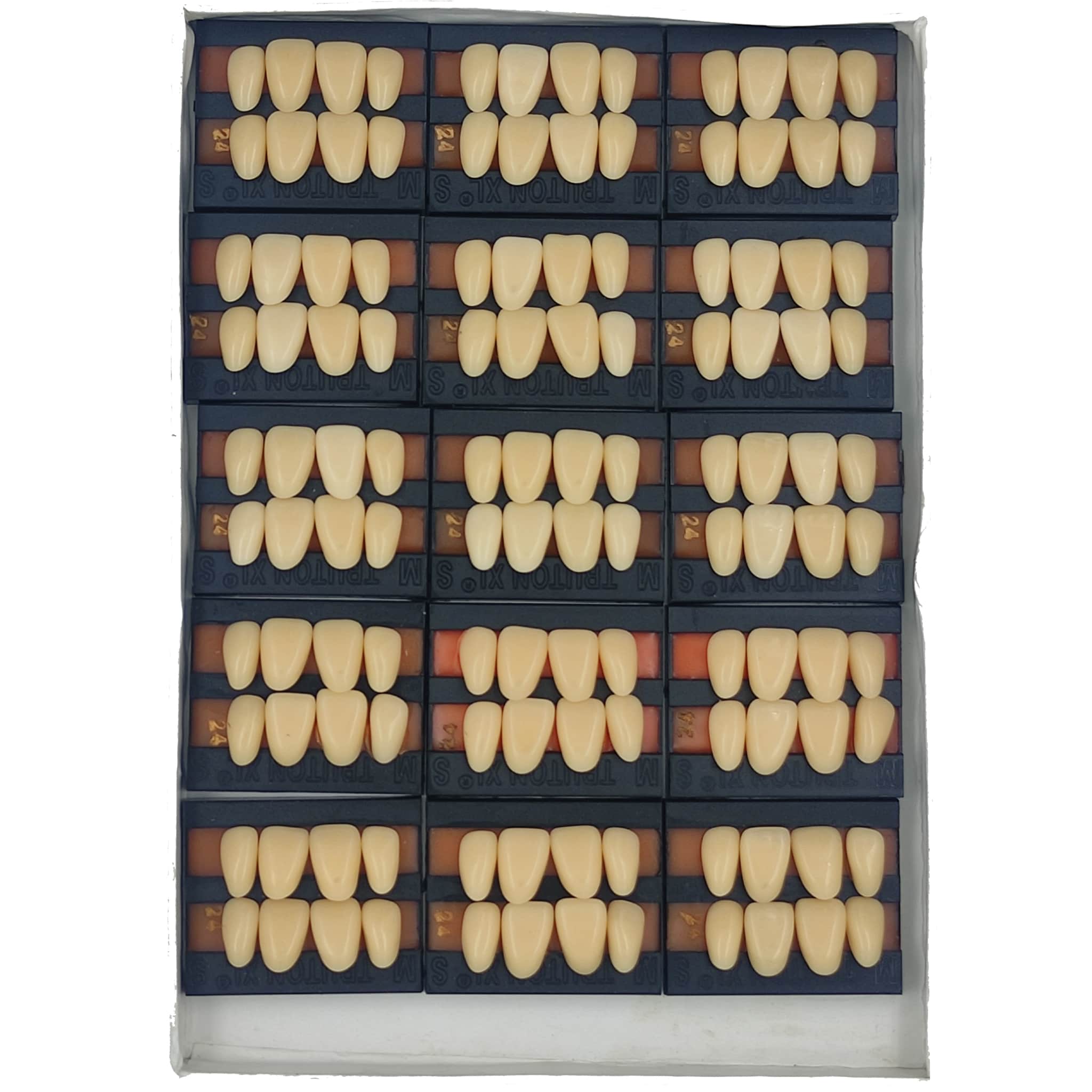 Truton Artificial Teeth Set of 8 Upper (Box of 15)